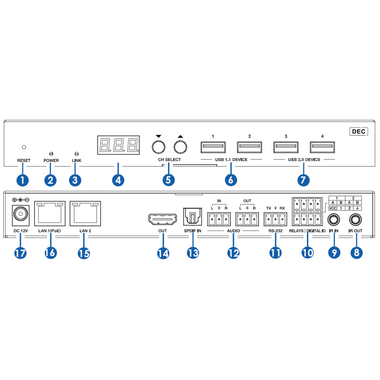 Turtle Dante decoder TAV-CHAZY4K-RX